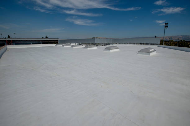 Best Skylight Installation and Repair  in Lake Caroline, VA