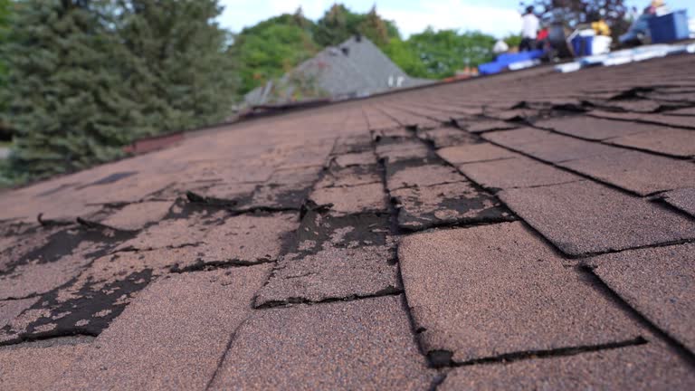 Best Rubber Roofing (EPDM, TPO)  in Lake Caroline, VA
