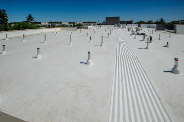 Best Roof Maintenance and Cleaning  in Lake Caroline, VA